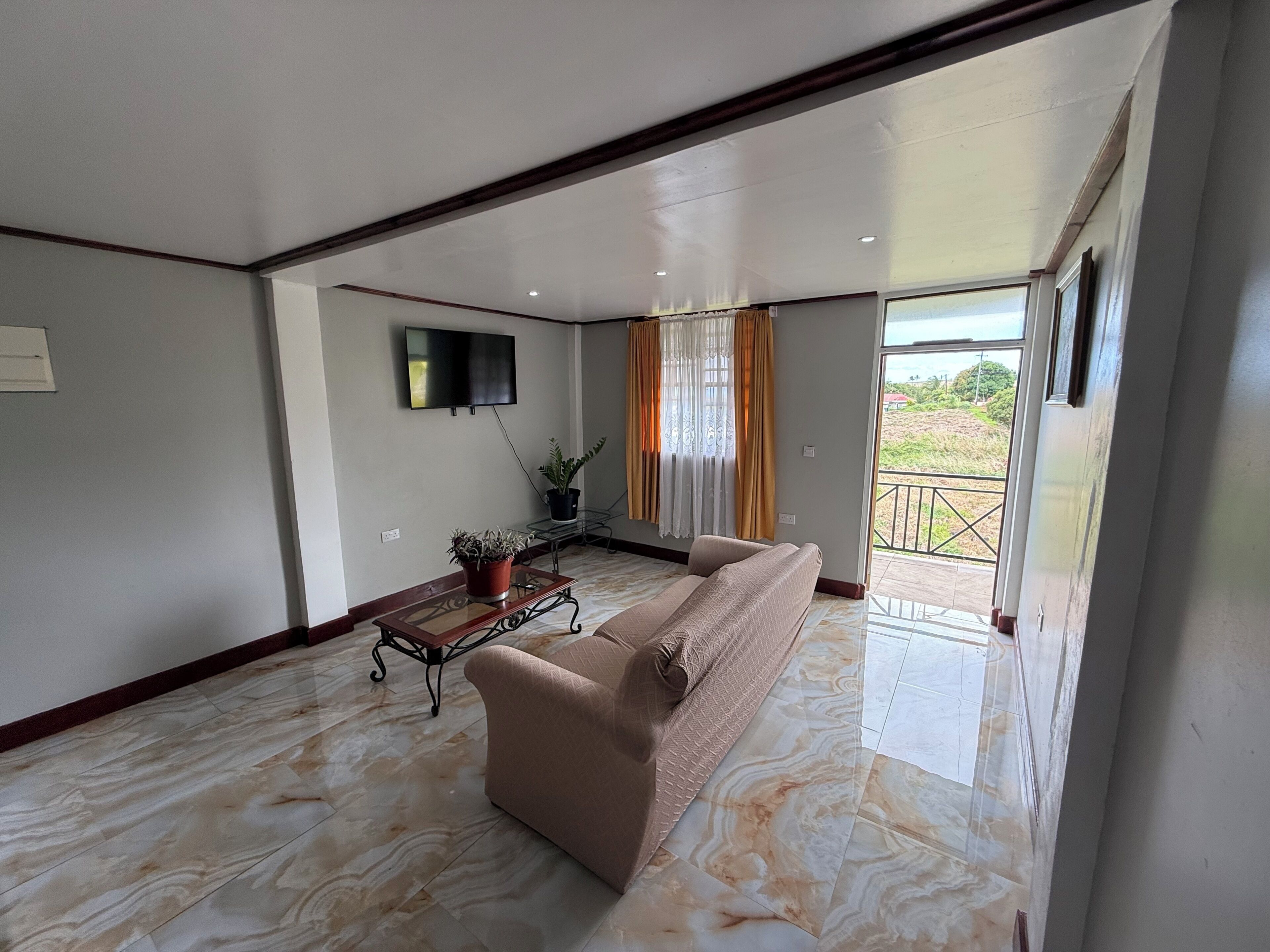 A living room with a sofa, a TV, a potted plant, and a balcony with a view.