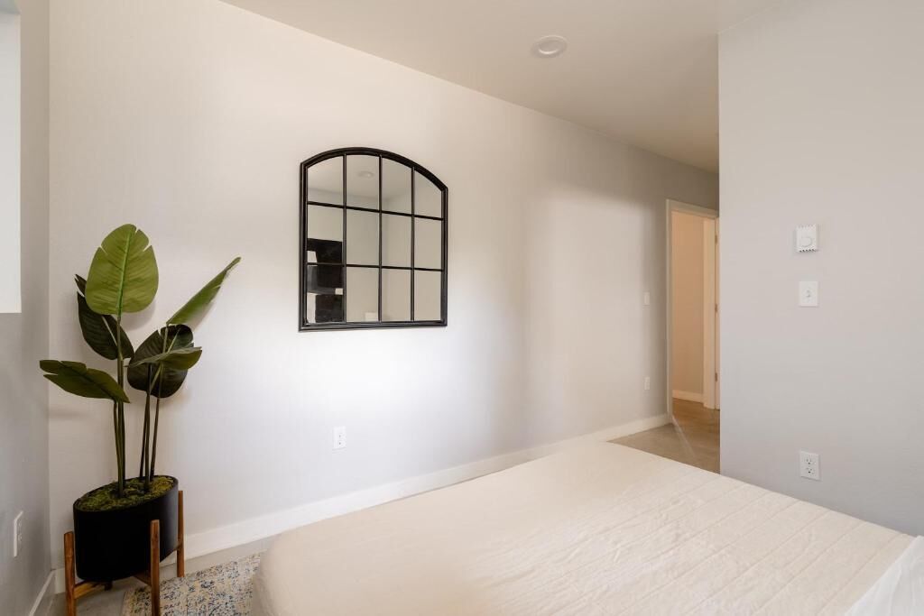 A bedroom with a bed, a potted plant, a mirror, and a door leading to another room.