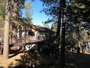 Eine Holzhütte mit einer Holzterrasse, umgeben von Kiefern.