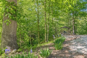 Un'area boscosa con un gazebo, alberi e fiori viola.
