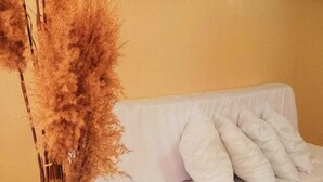 Una habitación con un sofá blanco y una alta jarra con plumas de pampa.