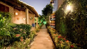 A pathway flanked by lush greenery and a brick building with a tiled roof.