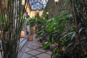 Property grounds - Casa del Sol. 4 bedrooms + garden | 8 guests (Mexico City)