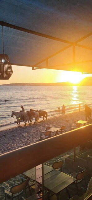 A beachside restaurant with outdoor seating, overlooking the sea, and a sunset view. - Maralma Bucerias 1 half Blocks from Beach Sleeps 4 (Bucerías)