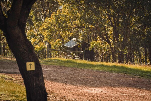 Un entorno rural con un camino de tierra que lleva a una estructura de madera, rodeada de árboles y una zona cercada.