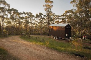 Una pequeña construcción de madera de un solo piso con techo metálico, rodeada de un área boscosa con un sendero de tierra que conduce a ella.