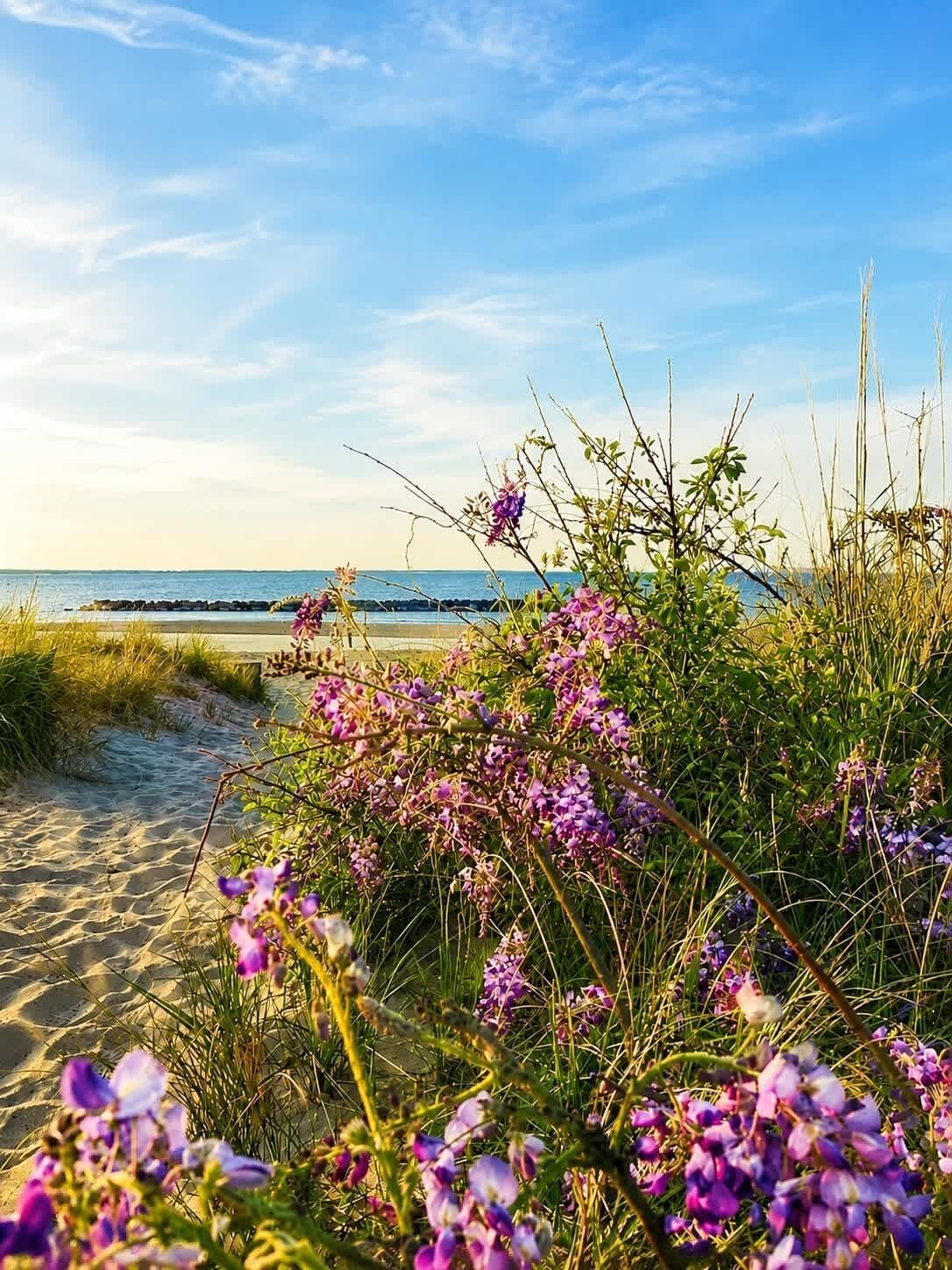 Plage à proximité