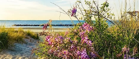 Plage à proximité