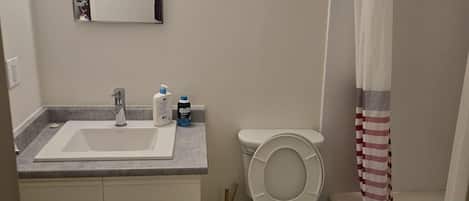 Baignoire Ă remous, serviettes fournies, savon, papier de toilette