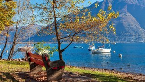 A bench by a lake with boats in the background. - Panoramic Garden Lake View in Locarno Monti, Locarno, Switzerland (Locarno)