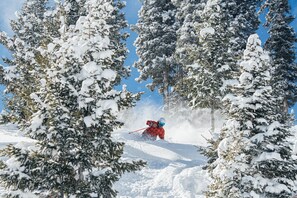 A snowy landscape with a skier in motion, surrounded by snow-covered trees. - Warm condo with Wheeler Peak view (Angel Fire)