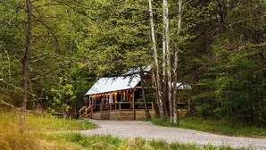 Een chalet met terras, omringd door bomen en water.