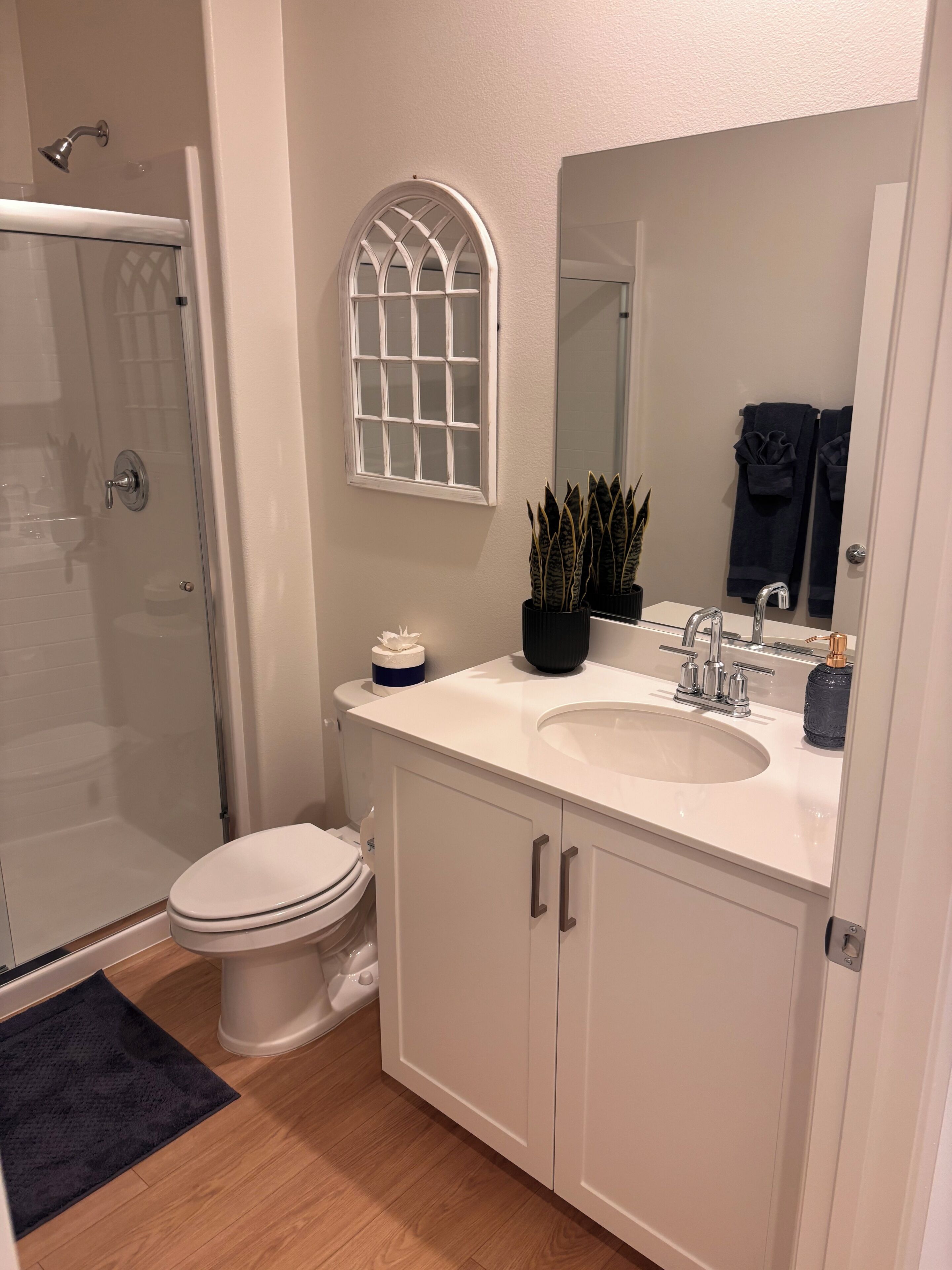 Shower, towels, toilet paper