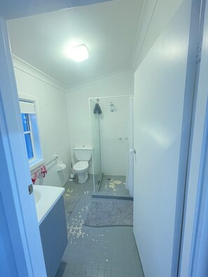Dusche, Handtücher, Seife, Toilettenpapier