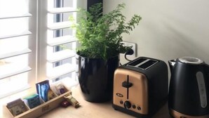 Una encimera de cocina con un tostador, una tetera y una planta en maceta.
