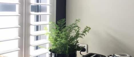 A kitchen counter with a toaster, a kettle, and a potted plant.