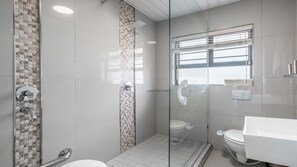 Regadera, secadora de cabello, bidet, toallas 