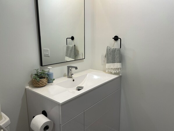 A bathroom with a white sink, a mirror, a towel rack, a plant, and a toilet paper holder. - Madison & East 53rd (New York)