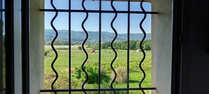 Interior - Spacious apartment in mas provençal in the countryside, 2 bedrooms, air conditioning, wifi, parking (Apt)