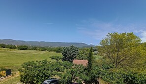 Property grounds - Spacious apartment in mas provençal in the countryside, 2 bedrooms, air conditioning, wifi, parking (Apt)
