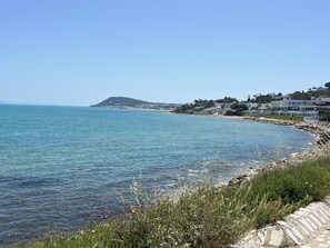 Ranta