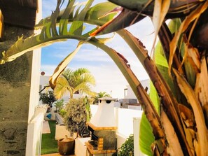 Property grounds - Villa Vista: Pure Sunshine, Heated Pool & Jacuzzi (Yaiza)
