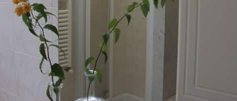 Douche, séchoir à cheveux, bidet, serviettes fournies
