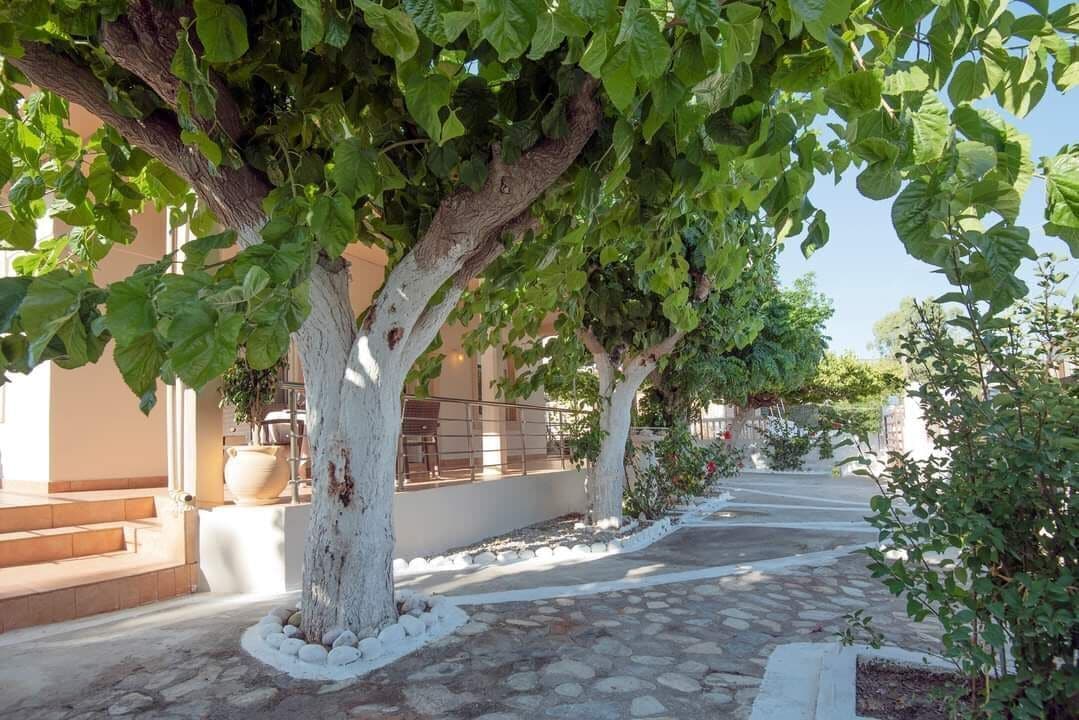 Large trees surround the courtyard and create several naturally shaded corners where the house feels private and relaxed during the warmer months.