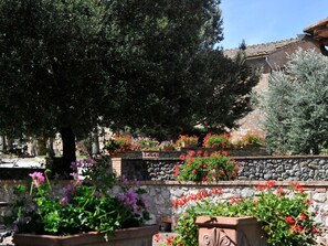 Property grounds - Agriturismo Podere il Moro by Interhome (Sovicille)
