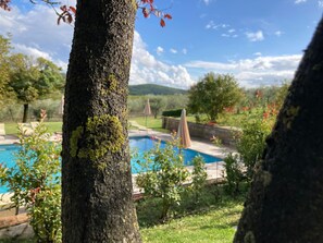 Pool - Agriturismo Podere il Moro by Interhome (Sovicille)