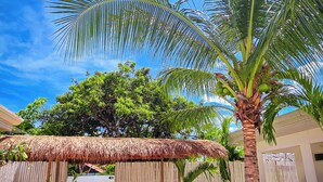 A tropical outdoor area with palm trees, a thatched-roof structure, and a paved walkway.