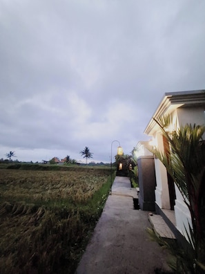 A pathway leading to a building with a lamp post and palm plants.