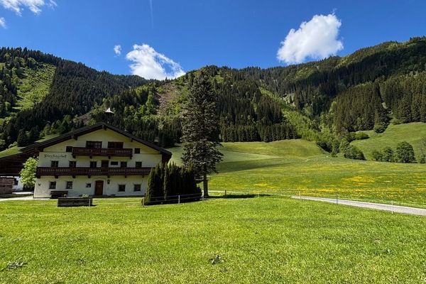Pirchnerhof, Bauernhof