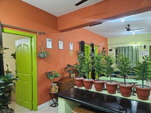 Een kamer met een groene deur, diverse potplanten, een plafondventilator en een groene muur met ingekaderde foto's.
