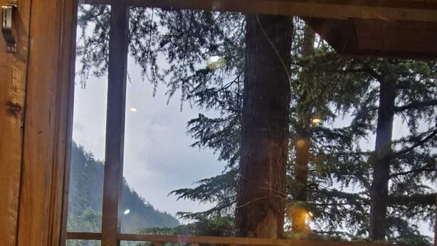 Ein Holzinnenraum mit Blick auf einen bewaldeten Berg durch ein großes Fenster.