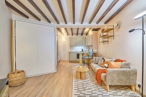 TV, offices - Apartement Saint Germain des Prés (Paris)
