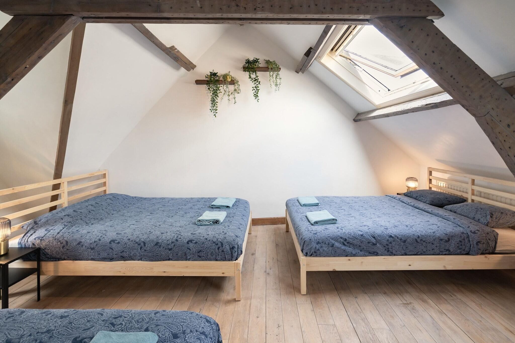 Un pequeño dormitorio en el ático con dos camas de madera, un tragaluz y plantas colgantes.