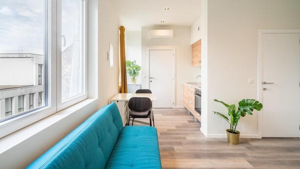 A modern apartment with a living area, a dining space, and a kitchen.