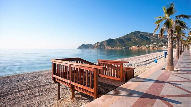 Ein Strand mit Holzbänken, einer Palme und einem Berg im Hintergrund.