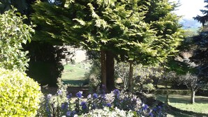 Un jardin avec des arbres, des fleurs et une pelouse.