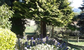 A garden with trees, flowers, and a grassy area. - Gîte Les Sapins Douglas: Mountain View Holiday Home with Balcony and Wi-Fi (Sansac-Veinazès)