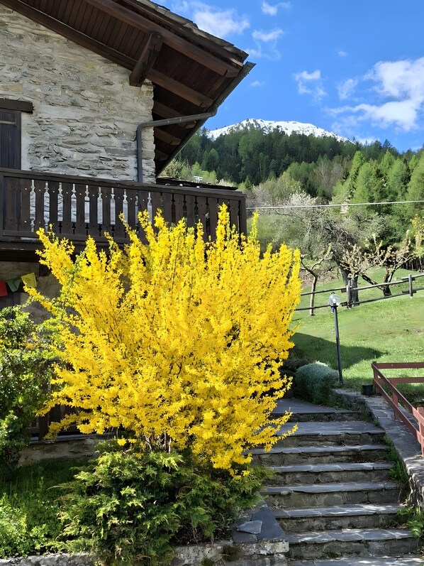 Exterior detail - Holiday Home 'La Tana Con L'Ermellino' with Mountain View, Shared Garden and Wi-Fi (Morgex)