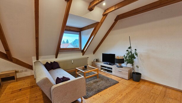 Un espacio tipo loft con techo inclinado, vigas de madera, un sofá, un televisor, una planta y un radiador.