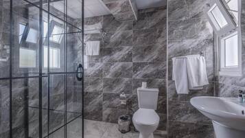 Shower, free toiletries, hair dryer, toilet paper