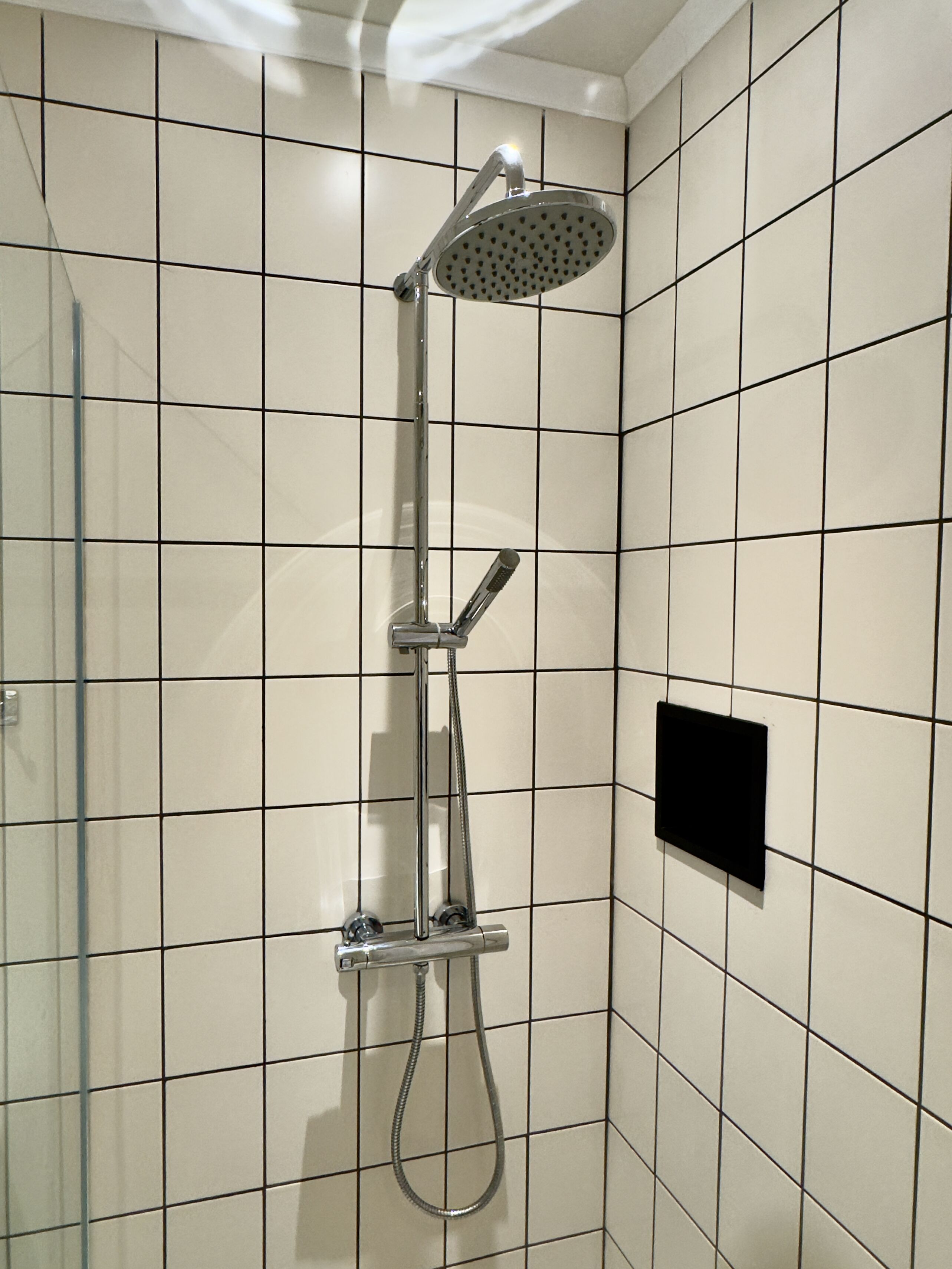 Une douche équipée d’un pommeau de douche à main et d’un pommeau de douche mural en forme de pluie.