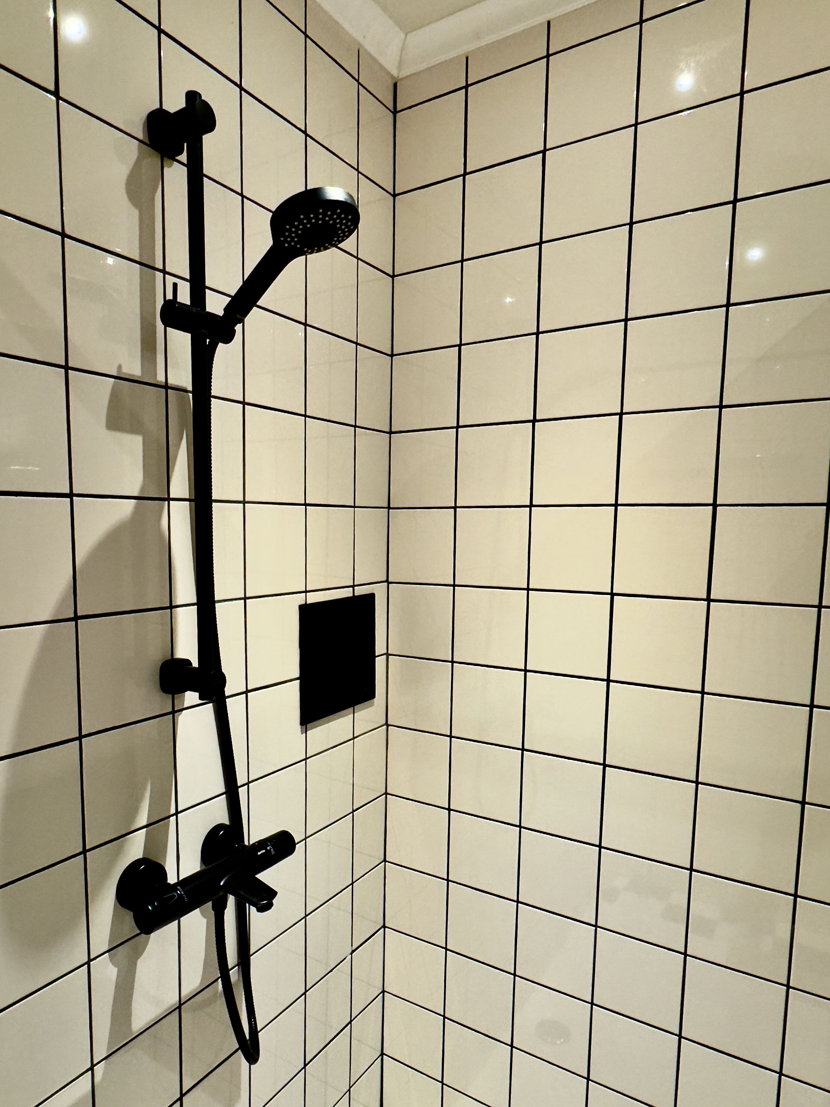 Ducha con cabezal de ducha de mano y accesorio de ducha manual, todo montado en una pared con azulejos.