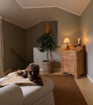 A cozy room with a dog resting on a cushioned bench, a wooden cabinet, a wicker basket with a plant, and a lamp on a side table. - Unique accommodations close to nature in northern Sweden (Gran)