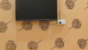 A flat-screen TV mounted on a wall with a decorative feather pattern. - Shree Rudraksha Home Stay (Varanasi)