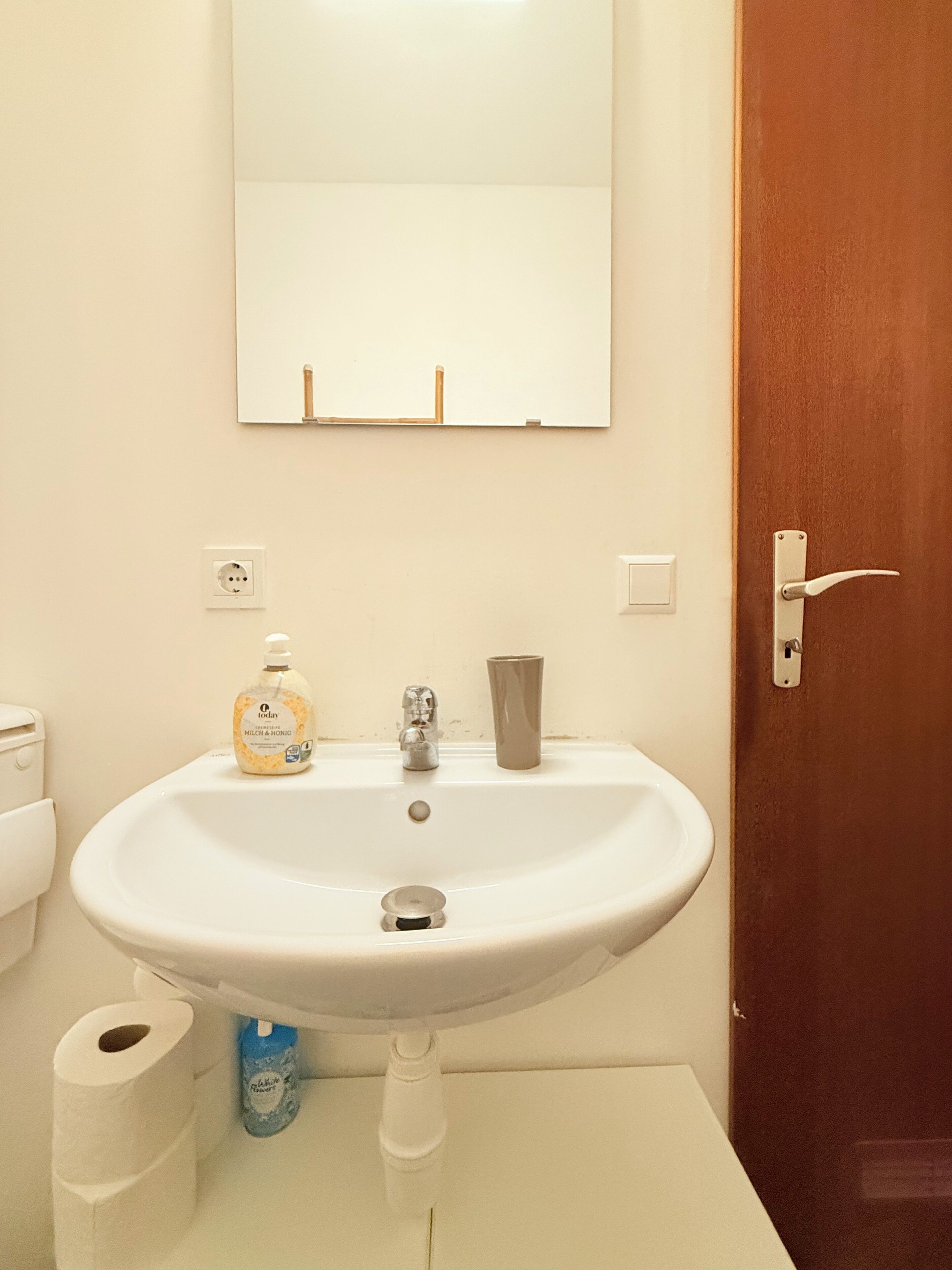 A bathroom with a white sink, a mirror above it, a toilet, and a door.