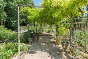 Een tuin met een grindpad, een houten pergola en potplanten.